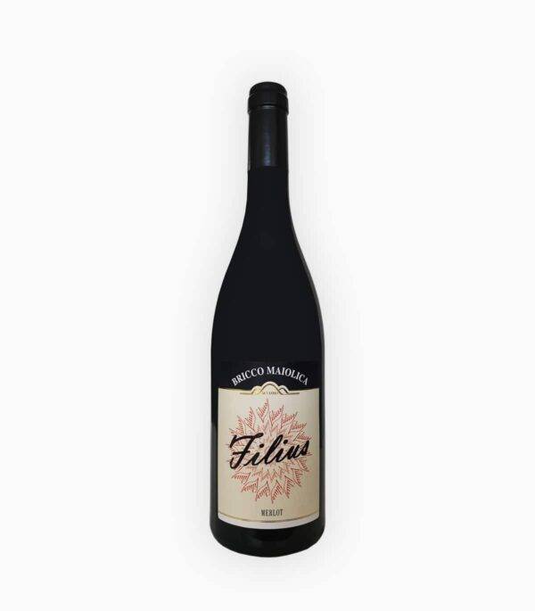 Bricco Maiolica Filius Langhe Merlot Doc