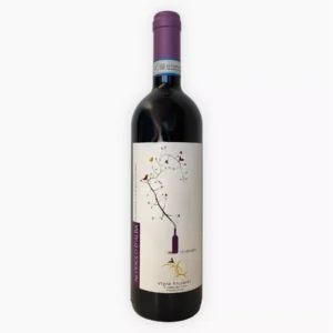 Vigna Riccardo Nebbiolo D’alba Bio Docg