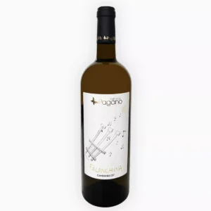 Fattoria Pagano Falanghina Campania Igt