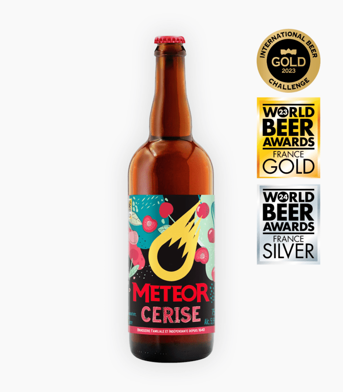 meteor-9-700x799-1.png